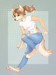  2023 anthro barefoot bottomwear breasts brown_hair canid canine clothed clothing cotton_(yshanii) denim denim_bottomwear denim_clothing digital_media_(artwork) feet female fully_clothed fur hair hi_res jeans mammal midriff navel pants pawpads pink_pawpads small_breasts solo tan_body tan_fur torn_bottomwear torn_clothing torn_jeans torn_pants yshanii 