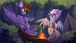  campfire cutie_mark detailed_background duo equid equine female feral fleetfoot_(mlp) forest friendship_is_magic hasbro hi_res mammal my_little_pony mythological_creature mythological_equine mythology pegasus plant rainbow_dash_(mlp) ramiras tent tree wings wonderbolts_(mlp) 