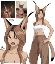  absurdres animal_ear_fluff animal_ears breasts brown_eyes brown_hair caracal cat_ears cat_girl cat_tail cleavage collarbone female gegegekman hand_on_own_hip highres large_breasts looking_at_viewer medium_hair navel original pants sneer strapless tail tan tsurime tube_top 