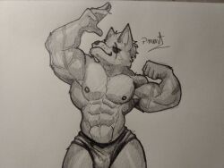  abs anthro barazoku bottomwear canid canine canis clawed_fingers claws clothed clothing ears_up eye_patch eyewear flexing male mammal muscular muscular_anthro muscular_male nintendo nipples partially_clothed pecs pinumontbalou smile solo star_fox topless underwear vein veiny_muscles wolf wolf_o&#039;donnell 