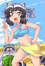  2021 animal_humanoid arai-san beach breasts clothed clothing cute_fangs duo eating female feral food fruit fur grey_body grey_fur hi_res humanoid humanoid_focus humanoid_hands kemono_friends mammal mammal_humanoid melon outside plant procyonid procyonid_humanoid raccoon raccoon_humanoid seaside sitting solo_focus swimwear umikazenet3 water watermelon 