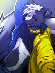  2020 abs absurd_res angiewolf anthro athletic athletic_male bedroom_eyes black_body black_clothing black_fur black_shirt black_topwear blue_clothing blue_eyes blue_hoodie blue_jacket blue_theme blue_topwear bottomwear claws clothed clothing clothing_lift collar digital_media_(artwork) ear_piercing fluffy fluffy_tail fur hair hand_on_neck hi_res hooded_skunk hoodie industrial_piercing jacket looking_at_viewer male mammal mephitid midriff multicolored_clothing multicolored_hoodie multicolored_jacket multicolored_topwear multiple_piercings narrowed_eyes navel nemoskii_stripey pants pecs piercing raised_arm raised_clothing raised_shirt raised_topwear seductive selfie shaded shirt shirt_in_mouth shirt_lift skunk snaggle_tooth solo striped_body striped_skunk stripes tail topwear tuft two_tone_theme unzipped ventral_groove white_body white_fur white_hair yellow_clothing yellow_collar yellow_hoodie yellow_jacket_(clothing) yellow_theme yellow_topwear zipper 