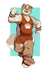  2023 absurd_res anthro belly black_claws black_nose blush canid canine canis claws clothing domestic_dog enokorogusa2 fur hi_res looking_at_viewer male mammal pawpads running smile smiling_at_viewer solo stocky tan_body tan_fur tight_clothing wrestling_outfit wrestling_singlet 