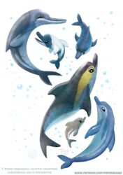  2019 ambiguous_gender beady_eyes black_eyes blue_body bottlenose_dolphin bubble cetacean closed_eyes commerson&#039;s_dolphin common_dolphin digital_media_(artwork) digital_painting_(artwork) dolphin feral grey_body group mammal marine oceanic_dolphin piper_thibodeau simple_background size_difference smile swimming text toothed_whale url white_background white_body yellow_body 