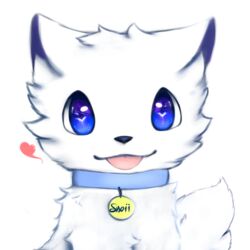  1:1 ambiguous_gender arctic_fox blep blue_eyes blue_sclera canid canine collar detailed_eyes emote feral fluffy fluffy_tail fox fur glistening glistening_eyes heart_reaction heart_symbol hi_res looking_at_viewer mammal name_tag simple_background smile snoii_(snoiifoxxo) snoiifoxxo solo tail text tongue tongue_out true_fox tuft white_background white_body white_fur 