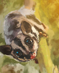  2021 4:5 ambiguous_gender australian_possum brown_body brown_fur digital_media_(artwork) digital_painting_(artwork) feral fur hi_res looking_at_viewer mammal marsupial petaurid solo steven_huang sugar_glider whiskers 