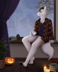  anthro beverage book bottomless bottomless_anthro bottomless_male cactus candle candy canid canine canis chocolate city city_background cityscape clothed clothing crotch_tuft curtains curtains_open dessert eyewear feet fingers food glasses hi_res hot_chocolate house_plant jack-o&#039;-lantern jewelry male mammal millicentart necklace open_clothing open_shirt open_topwear plant raining sabbyth shirt solo tail toes topwear tree tuft weather window window_seat wolf 