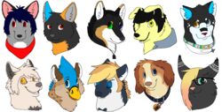  2013 aliasing ambiguous_form ambiguous_gender avian beagle beak beak_piercing black_body black_collar black_ears black_fur black_hair black_inner_ear black_nose black_sclera blonde_mane blue_body blue_ears blue_eyes blue_feathers blue_hair blue_inner_ear_fluff brown_body brown_fur brown_mane brown_markings brown_nose button_ears canid canine canis collar collar_tag countershading digital_drawing_(artwork) digital_media_(artwork) dog_tags domestic_cat domestic_dog ear_tuft eyelashes eyewear facial_piercing feathered_crest feathers felid feline felis flat_colors floppy_ears freckles frown fur furgonomics furry-specific_piercing glasses gradient_hair green_eyes grey_body grey_fur grey_inner_ear grey_nose group gryphon hair hair_over_eye head_crest headshot_portrait heart_pupils herding_dog heterochromia hunting_dog husky inner_ear_fluff jewelry kerchief leopard_spots lop_ears mammal mane markings microsoft_paint_(artwork) mixed_breed multicolored_mane mythological_avian mythological_creature mythology narrowed_eyes neckerchief necklace nordic_sled_dog notched_ear one_eye_obstructed open_beak open_mouth open_smile orange_ears orange_eyes pastoral_dog piercing pink_inner_ear pink_nose portrait red_eyes red_kerchief red_neckerchief red_nose ringed_eyes scent_hound sebdoggo simple_background smile snout spiral_eyes spitz spots tuft two_tone_mane wearing_glasses welsh_corgi white_background white_body white_countershading white_fur white_hair white_inner_ear white_markings yellow_body yellow_eyes yellow_fur 