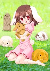  animal_ears bad_id bad_pixiv_id barefoot brown_hair female inaba_tewi momose_rin rabbit rabbit_ears rabbit_girl rabbit_tail red_eyes short_hair solo tail too_many too_many_rabbits touhou 