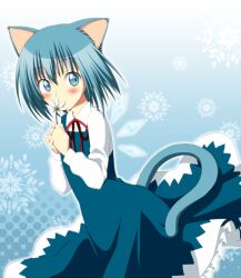  animal_ears bad_id bad_pixiv_id blue_background blue_eyes blue_hair blue_tail cat_ears cat_tail cirno female flower gradient_background kemonomimi_mode looking_back oniku_(shimofuri-ke) short_hair smelling_flower solo tail touhou wings 