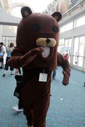  cosplay costume pedobear photo public 