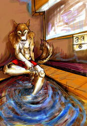  anthro brown_body brown_fur canid canine canis clothed clothing detailed_background digital_media_(artwork) digital_painting_(artwork) domestic_dog electrical_outlet feet fur humanoid_feet humanoid_hands husky inside male mammal nordic_sled_dog plantigrade pool red_clothing red_swimming_trunks red_swimwear shaded snout solo spitz swimming_pool swimming_trunks swimwear tail topless unknown_artist white_body white_fur 