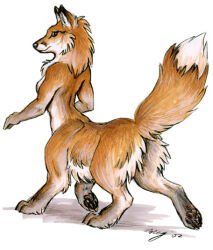  2002 black_nose black_pawpads breasts canid canid_taur canine canine_taur digitigrade female fox fox_taur full-length_portrait fur looking_at_viewer looking_back looking_back_at_viewer mammal mammal_taur marker_(artwork) nude orange_body orange_fur pawpads paws portrait raised_tail red_fox_taur signature simple_background snout solo tail taur traditional_media_(artwork) unknown_artist unknown_artist_signature walking white_background white_body white_fur 