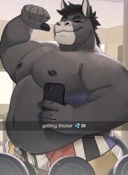  2024 anthro areola asinus belly biceps big_belly big_muscles bottomwear caption carlos_(burropaleta) cellphone closed_eyes clothed clothing donkey dumbbell electronics emoji english_text equid equine eyebrows flexing fur gym hair happy hi_res holding_object holding_phone inside male mammal moobs musclegut muscular muscular_anthro muscular_male navel nipples overweight overweight_anthro overweight_male pecs phone selfie shorts smartphone smile solo text topless topless_anthro topless_male tuft unatazaamarilla weights 