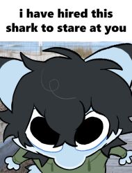  2024 anthro biped black_eyes black_hair blue_body clothing fish green_clothing green_hoodie green_topwear hair hoodie looking_at_viewer male marine meme sh-4rk shark solo stare topwear 