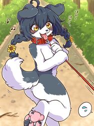  2022 3:4 4_fingers 4_toes accessory ahoge anthro ass black_hair black_nose blush bodily_fluids border_collie braided_hair breasts canid canine canis claws collar collar_only collie cotorita cute_fangs digital_media_(artwork) domestic_dog feet female female_anthro fingers floppy_ears flower flower_in_hair fur grey_body grey_fur hair hair_accessory happy herding_dog hi_res japanese_text kemono koto0v0haru leash leash_pull looking_at_another looking_back mammal multicolored_body multicolored_fur multicolored_pawpads multicolored_tail musical_note nude offscreen_character open_mouth open_smile outdoor_nudity outside pastoral_dog pawpads paws pictographics pink_pawpads plant public public_nudity sheepdog shrub signature smile soles solo speech_bubble sweat sweatdrop tail teeth text toe_claws toes tongue tongue_out translated twintails two_tone_body two_tone_fur two_tone_tail walkies white_body white_fur yellow_eyes 