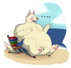  2017 4_fingers 4_toes anthro beach beach_chair belly bent_arm bent_legs big_belly black_nose blue_clothing blue_sky blue_swimming_trunks blue_swimwear blush broken_chair brown_eyes canid canine clothing cloud colored day digital_drawing_(artwork) digital_media_(artwork) ellipsis embarrassed fangs feet fingers fluffy fluffy_tail fur hi_res male male_anthro mammal moobs no_pupils obese obese_anthro obese_male open_mouth outside overweight overweight_anthro overweight_male pawpads pink_inner_ear pink_pawpads red_tongue sea seaside shaded simple_shading sitting sky solo swimming_trunks swimwear tail teeth theannoyingnpc thick_thighs toes tongue unnamed_canine_(theannoyingnpc) water white_body white_fur white_tail 