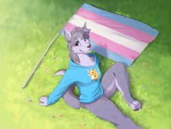  anthro belvor blue_clothing blue_sweater blue_topwear bottomless bottomless_female brown_eyes canid canine canis clothed clothing female hi_res hoodie lgbt_pride mammal meadow merchandise pride_colors raichu_(character) sitting sitting_on_ground solo sweater topwear trans_(lore) trans_woman_(lore) transgender_pride_colors wolf 