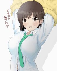  absurdres amagami aqua_necktie arms_up blush breasts brown_eyes brown_hair collared_shirt female gyuunyuu_pack_(tanaka) highres itou_kanae_(amagami) large_breasts looking_at_viewer navel necktie open_mouth shirt short_hair solo sweat undressing upper_body white_shirt 