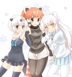  3girls animal_ears arctic_fox_(kemono_friends) bare_shoulders black_fur black_gloves black_legwear black_shirt blue_neckwear blue_skirt blush bow bowtie brown_eyes californian_sea_otter_(kemono_friends) capelet commentary_request cowboy_shot cutoffs elbow_gloves extra_ears eyebrows_visible_through_hair fox_ears fox_girl fox_tail frilled_swimsuit frills fur_collar fur_trim gloves grey_eyes grey_gloves grey_hair grey_legwear grey_swimsuit holding_hands kemono_friends kuromitsu_(9633_kmfr) lesser_panda_(kemono_friends) long_hair long_sleeves looking_at_viewer multicolored_hair multiple_girls one-piece_swimsuit otter_ears otter_girl otter_tail panda_ears panda_girl panda_tail pantyhose pleated_skirt red_hair shirt short_hair short_shorts shorts sidelocks skirt sleeveless striped striped_shirt swimsuit tail thighhighs two-tone_hair white_capelet white_fur white_gloves white_hair white_legwear white_shorts winter_clothes yellow_eyes zettai_ryouiki 