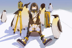  absurdres animal arknights bird black_pantyhose brown_hair chinese_commentary commentary_request ear_piercing earrings female gloves hair_between_eyes highres iris_yi jacket jewelry light long_jacket long_sleeves looking_at_viewer magallan_(arknights) mask medium_hair mouth_mask multicolored_hair outdoors pantyhose parted_lips penguin piercing respirator shadow sitting skates solo streaked_hair theodolite unworn_mask white_gloves white_hair yellow_eyes 