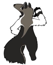  alpha_channel ambiguous_gender anteater anthro brown_body brown_fur fur gesture hand_gesture hi_res looking_at_viewer looking_back mammal multicolored_body multicolored_fur pilosan pointing solo standing trout_(artist) white_body white_fur xenarthran 