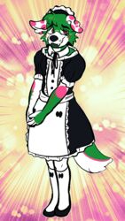  9:16 anthro canid canine canis clothed clothing crossdressing domestic_dog femboy hi_res kirby_(kirbycanvas) maid_apron maid_uniform male mammal shy solo timid uniform vanderdeer 