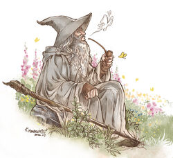  beard blue_eyes bug butterfly dated facial_hair from_side gandalf grass grey_headwear grey_robe hat kazuki-mendou long_beard old old_man robe signature sitting smoking smoking_pipe staff the_lord_of_the_rings tolkien&#039;s_legendarium 