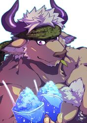  1boy animal_ears bara blue_outline body_fur brown_fur camouflage camouflage_headwear chest_hair commentary_request cow_ears cow_horns facial_hair food furry furry_male goatee headband highres horns leaf looking_at_object male_focus minotaur mouth_hold muscular muscular_male outline purple_eyes purple_horns sakuhuu shaved_ice shennong_(housamo) short_hair simple_background solo stalk_in_mouth tokyo_afterschool_summoners upper_body white_background white_hair 