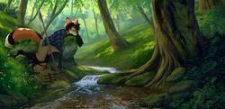  2019 akitamonster amazing_background anthro black_hair canid canine clothed clothing countershading day detailed detailed_background duster_(duster) forest fox fur grass hair male mammal moss orange_body orange_fur outside plant scenery_porn smile solo tree water 