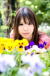  flower highres katou_mari photo 