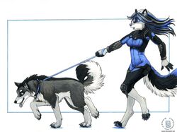  2009 akyn all_fours anthro canid canine canis clothed clothing domestic_dog domestic_pet duo female furries_with_pets husky kacey kayeer leash male mammal nakomis nordic_sled_dog nude nyghtwulf side_view simple_background spitz suit walkies walking white_background 