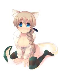  animal_ears blue_eyes blush braid breasts brown_hair cat_ears cat_girl cat_tail cleavage female hair_over_shoulder large_breasts long_hair looking_at_viewer lynette_bishop panties shin_(new) simple_background single_braid sitting smile solo strike_witches striped_clothes striped_thighhighs tail thighhighs underwear wariza world_witches_series 