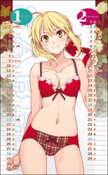  adjusting_hair ahoge bare_shoulders blonde_hair blush bow bow_bra bow_panties bra breasts breasts_apart calendar_(medium) character_name closed_mouth collarbone cowboy_shot embroidered_bra embroidery fate/extra fate_(series) female fingernails green_eyes hair_ribbon hand_up head_tilt huge_ahoge lace lace-trimmed_bra lace_trim lingerie looking_at_viewer medium_breasts morii_shizuki navel nero_claudius_(fate) nero_claudius_(fate/extra) panties plaid plaid_panties red_bra red_panties red_ribbon ribbon short_hair sidelocks smile solo spaghetti_strap standing underwear underwear_only untying v-shaped_eyebrows 