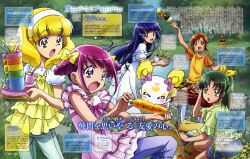  aoki_reika candy_(smile_precure) hino_akane hoshizora_miyuki kawamura_toshie midorikawa_nao pretty_cure smile_precure tagme yayoi_kise 