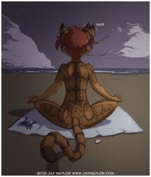  2012 ambient_arthropod ambient_crab ambient_crustacean ambient_sealife anthro beach border casual_nudity cloud conditional_dnp crossed_legs crosslegged_pose detailed_background digital_media_(artwork) domestic_cat ear_twitch english_text felid feline felis female female_anthro fur jay_naylor mammal meditation nature nude nude_beach nudist on_towel outdoor_nudity outside public rear_view sand seaside sky solo tail text towel url white_border zoe_(jay_naylor) 