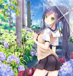  218 arrow_(symbol) black_hair blush commentary_request female flower green_eyes holding hydrangea leaf long_hair original outdoors ponytail puddle school_uniform skirt solo transparent transparent_umbrella umbrella water 