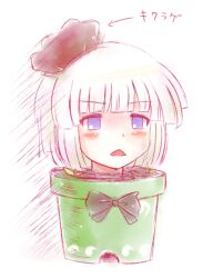  bad_id bad_pixiv_id banned_artist blue_eyes blush bow hair_ribbon kisaragi_zwei konpaku_youmu plant pot potted_plant ribbon short_hair solo touhou what white_hair 