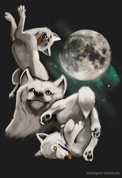  ambiguous_gender better_version_at_source black_nose black_pawpads canid canine canis derp_eyes fangs feral fur humor looking_at_viewer mammal meeshyarts meme moon moon_moon pawpads simple_background star teeth three_wolf_moon tongue tongue_out white_body white_fur wolf yellow_eyes 