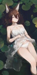  absurdres animal_ear_fluff animal_ears breasts brown_hair cleavage commentary dress feet_out_of_frame female fox_ears fox_girl hair_between_eyes highres honkai:_star_rail honkai_(series) long_hair lying_on_water medium_breasts panties parted_lips partially_submerged solo swkl:d symbol-only_commentary tingyun_(honkai:_star_rail) underwear white_dress white_panties 