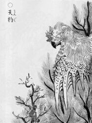  1776 18th_century ancient_art anthro asian_mythology avian beak bird black_and_white corvid corvus_(genus) crow east_asian_mythology evergreen_tree in_tree japanese_mythology japanese_text monochrome mythology oscine passerine pine_tree plant simple_background solo tengu text toriyama_sekien tree white_background wings yokai 