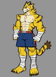  absurd_res anthro bandage bottomwear claws clothing dynogreeno feet felid feline fur hi_res male mammal muscular muscular_anthro muscular_male pantherine shorts solo stripes tail tiger yellow_body yellow_fur 