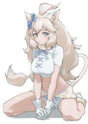  animal_ears blue_bow blue_eyes blush bow crop_top female fur_collar fur_trim gloves hair_between_eyes hairbow highres kemono_friends kemono_friends_3 kneeling lion_ears lion_girl lion_tail long_hair looking_at_viewer midriff navel official_alternate_costume plaid_bow shirt short_shorts short_sleeves shorts sidelocks solo tail tanabe_(fueisei) white_footwear white_fur white_gloves white_hair white_lion_(kemono_friends) white_shirt white_shorts 