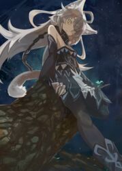  ahoge animal_ear_fluff animal_ears aqua_eyes aqua_flower atalanta_(fate) atalanta_alter_(fate) atalanta_alter_(first_ascension)_(fate) bad_id bad_pixiv_id bare_shoulders black_collar branch broken broken_chain chains clawed_gauntlets closed_mouth collar detached_sleeves fate/grand_order fate_(series) female flower gauntlets grey_hair long_hair night night_sky outdoors rock sitting sky slit_pupils solo star_(sky) tail teke_(exploration) 