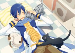  1boy belt black_cat blue_hair blue_nails blue_scarf brown_pants cat_on_person closed_eyes coat commentary feline grey_cat headpat indoors kaito_(vocaloid) light_blush lying male_focus nail_polish nokuhashi on_back open_mouth orange_cat pants pillow scarf shelf smile speaker tiles vocaloid white_cat white_coat 