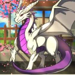  1:1 absurd_res dragon dreamdragon89 female feral hi_res mythological_creature mythological_scalie mythology purple_body roses_in_the_flames scalie scenery solo tail white_body wings 