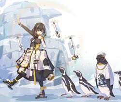  animal arknights bird bird_mask black_coat black_hair clothed_animal coat commentary_request drone emperor_(arknights) female gold_necklace green_sweater highres ice_skates igloo jewelry kazana_(sakuto) long_sleeves magallan_(arknights) magallan_(elite_ii)_(arknights) mask mask_around_neck multicolored_hair necklace penguin rhine_lab_logo ribbed_sweater short_hair skates snow snow_shelter streaked_hair sunglasses sweater tupac_shakur turtleneck turtleneck_sweater two-tone_hair whistle white_hair yellow_eyes 