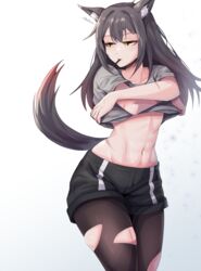  absurdres animal_ear_fluff animal_ears arknights black_hair black_pantyhose black_shorts brown_eyes clothes_lift collarbone female food food_in_mouth highres lifting_own_clothes long_hair mouth_hold navel pantyhose pocky shirt_lift short_shorts short_sleeves shorts simple_background singwee solo stomach tail texas_(arknights) torn_clothes torn_pantyhose white_background wolf_ears wolf_girl wolf_tail 