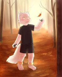  2016 4:5 4_fingers 4_toes anklet anthro arctic_fox autumn barefoot black_pawpads blush blush_lines bottomwear canid canine claws clothed clothed_anthro clothing digital_media_(artwork) feet finger_claws fingers forest forest_background fox full-length_portrait fully_clothed fully_clothed_anthro fully_clothed_male fur jewelry kemono male mammal nature nature_background open_mouth open_smile pawpads plant portrait raised_arm sabitsu shirt shorts signature smile solo t-shirt tail toes topwear tree true_fox white_body white_fur xen_(xenzjolras) yellow_eyes 