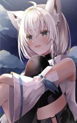  ahoge animal_ear_fluff animal_ears black_shorts black_sky black_thighhighs blush cloud detached_sleeves female fox_ears fox_girl green_eyes grey_hair highres hololive hood hoodie looking_at_viewer medium_hair night night_sky open_mouth shirakami_fubuki shirakami_fubuki_(1st_costume) shorts sky smile solo star_(sky) starry_sky thighhighs torimuraa virtual_youtuber white_hoodie white_sleeves 